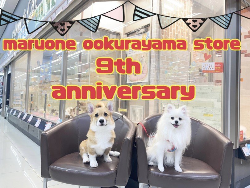 【 周年祭 】祝！横浜大倉山店9歳のバースデー！感謝を込めてイベント開催！