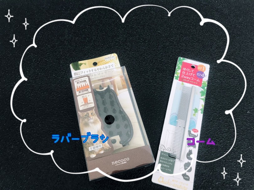 ブラッシングの方法はとっても簡単！必要なのはラバーブラシ&コームのみ！ | ブリティッシュショートヘア （130397） - 高井戸店