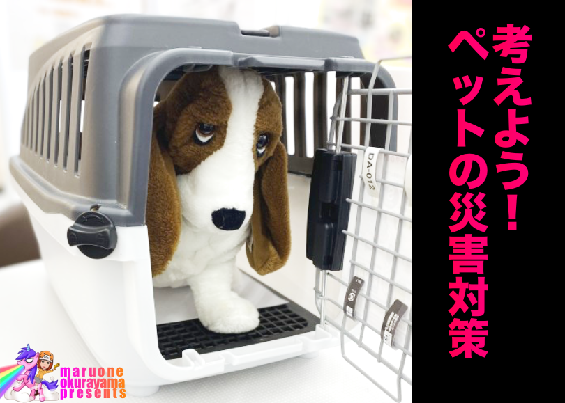 【 ペットの災害対策 】大事な家族を守るため万が一の備えは必要！災害時の準備！