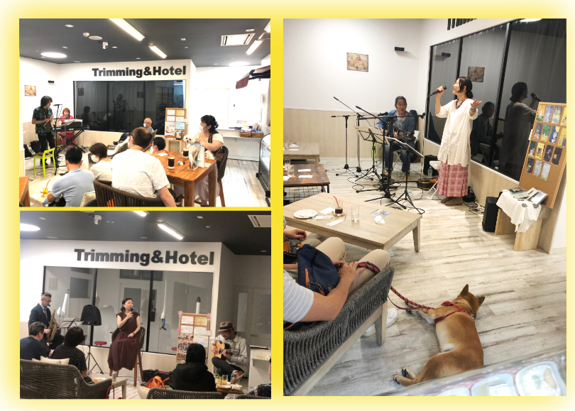3/27 Performing musician | イベント情報 - 横浜 元町店