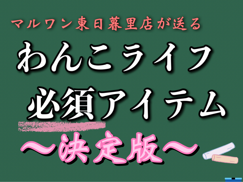 【 ビギナー必見 】お迎えに向けて準備するべきアイテム決定版！～わんこ編～