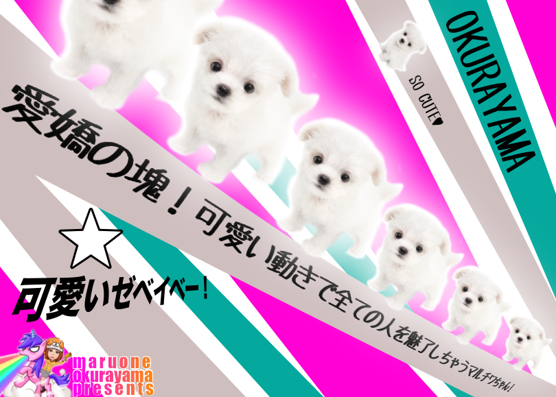 【 MIX 】愛嬌の塊！可愛い動きで全ての人を魅了しちゃうマルチワちゃん！