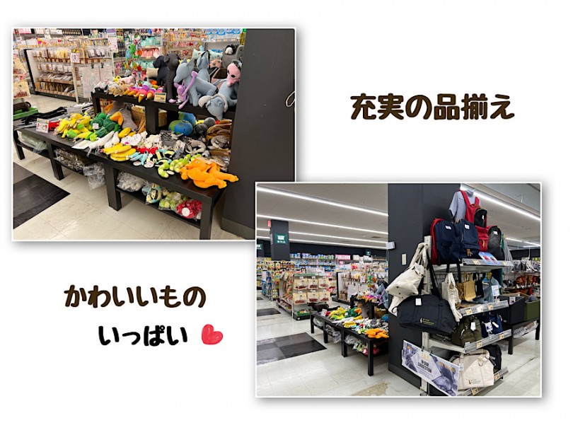 ペティアさんの商品も充実 | 港北NT店がリニューアルオープン - 横浜 港北ニュータウン店