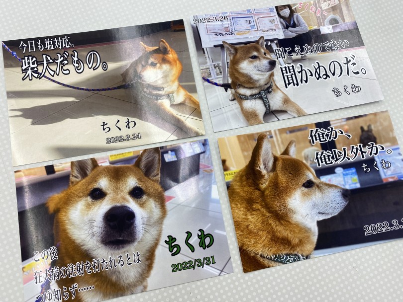 ちくわ名言シリーズ | 大倉山365チャレンジ 3月結果報告 - 横浜 大倉山店
