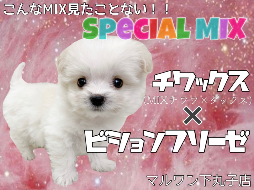【 MIX 】こんなMIX見たことない！スペシャルMIXのその名は…？！