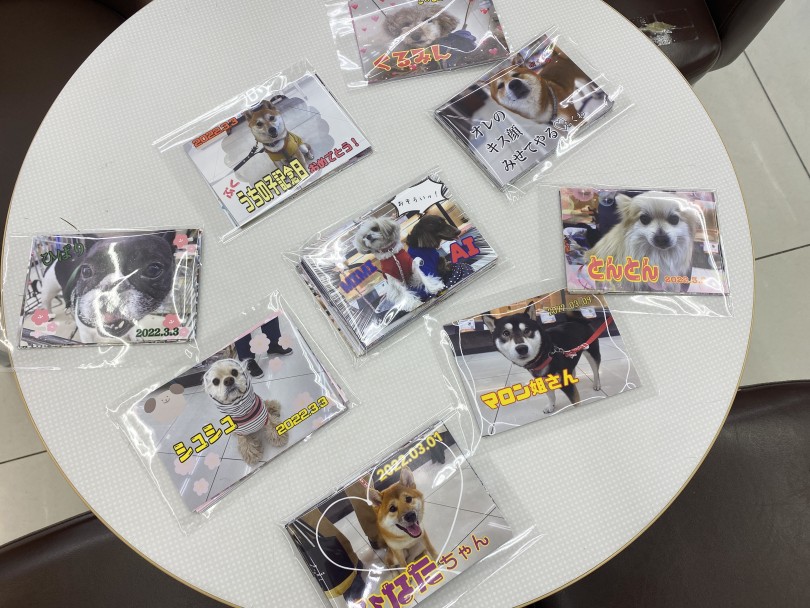 4月もたくさん遊びに来てくださいね♪ | 大倉山365チャレンジ 3月結果報告 - 横浜 大倉山店