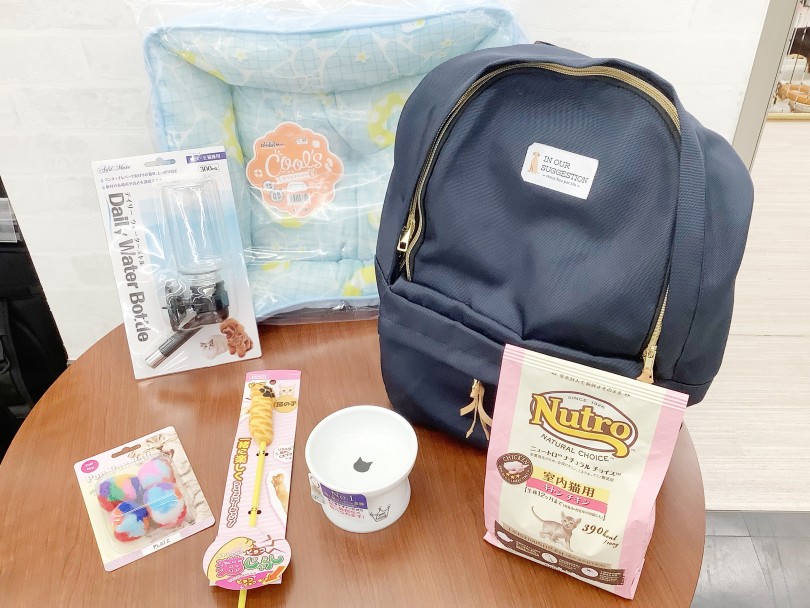 重要度大！必ず必要になるアイテムたち！ | お迎えに向けて準備するべきアイテム決定版！～にゃんこ編～ - 東日暮里店
