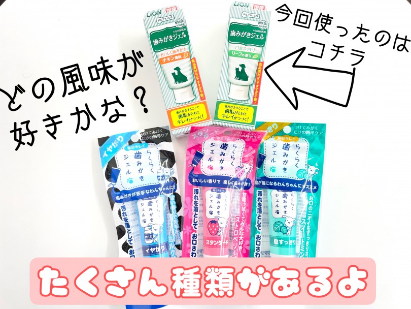 歯磨き粉にも色々な種類があります | 子犬・子猫から始めるデンタルケア！歯磨きトレーニング - 東川口店