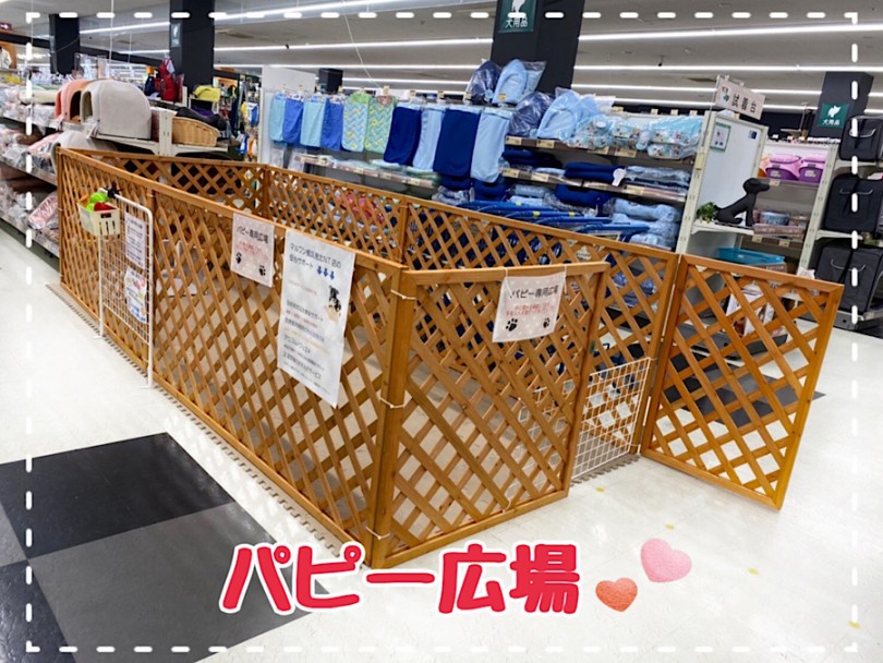 広いパピー広場 | 港北NT店がリニューアルオープン - 横浜 港北ニュータウン店