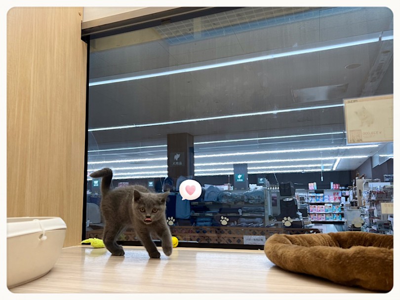 明るく広い快適ルーム | 港北NT店がリニューアルオープン - 横浜 港北ニュータウン店