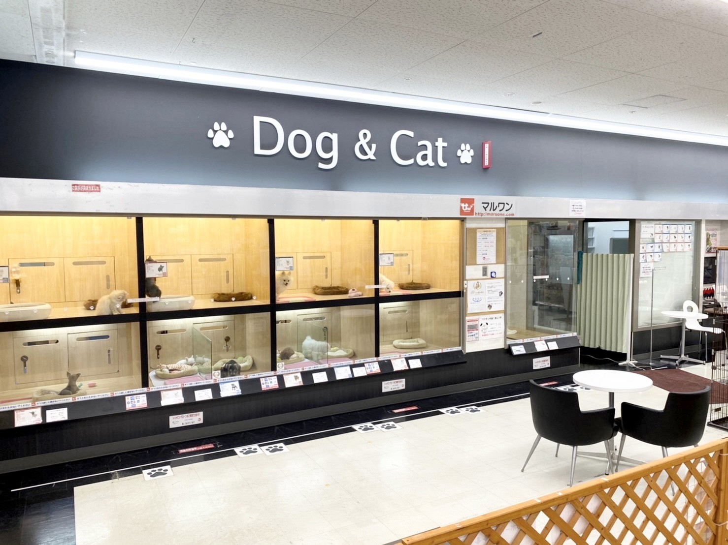 横浜 港北NT店