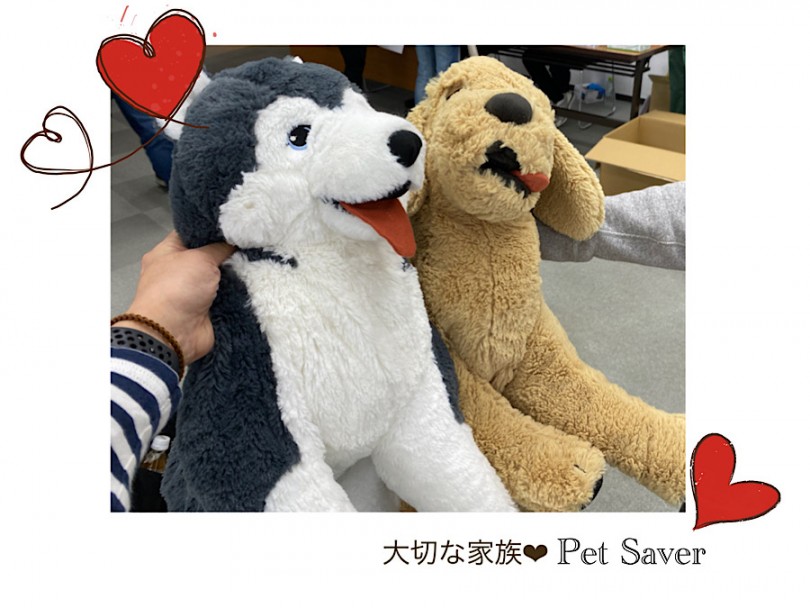 災害が起きた時の為に備えましょう | いざという時に備えて安心！ペットセーバー体験！ - 横浜 港北ニュータウン店