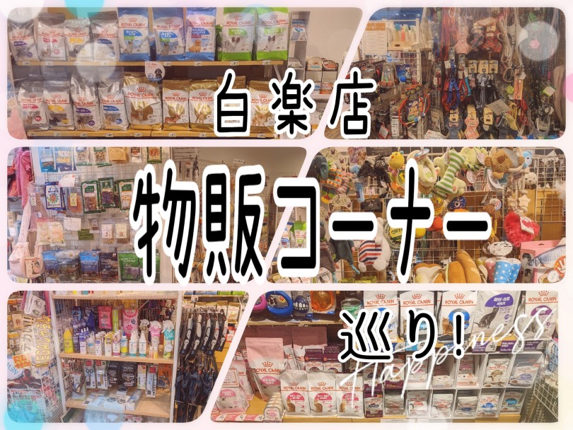 【 商品紹介 】マルチサービスのマルワン横浜 白楽店が厳選した抜群のグッズ紹介！