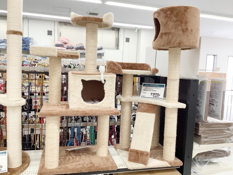 足が短いマンチカンくんにオススメのキャットタワーは？ | キャットタワー選びのポイント - 東日暮里店