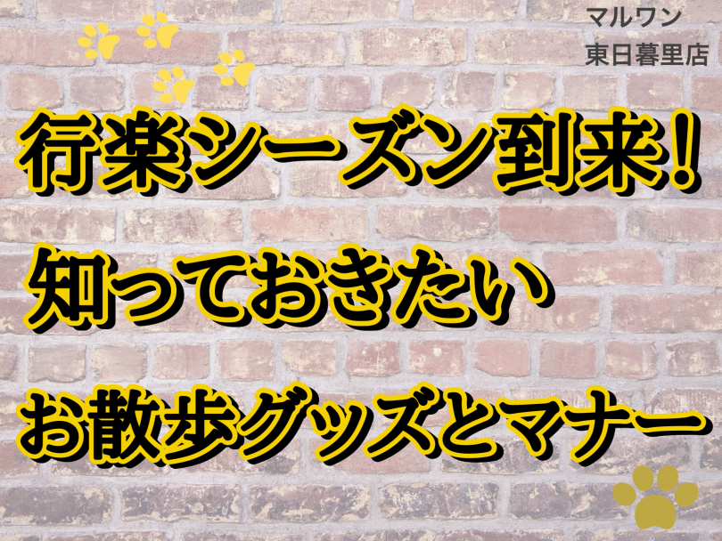 【 おでかけマナー 】行楽シーズン真っ最中！必要なアイテムと守るべきマナーは？