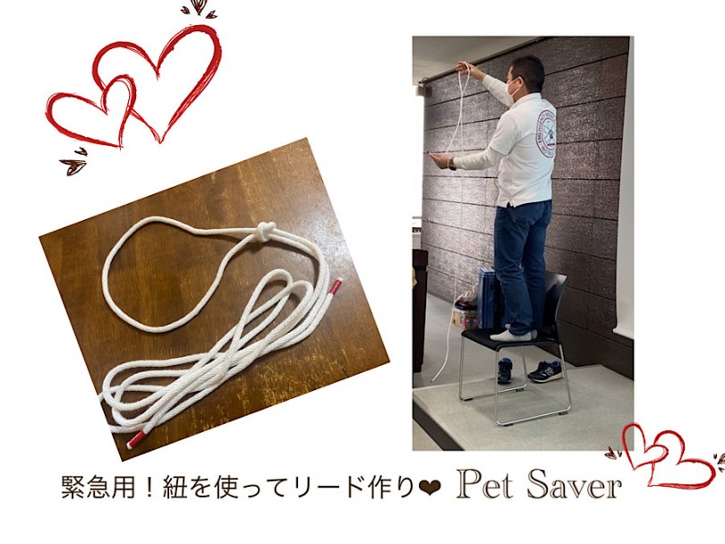 リードがない！なんて時に紐を使って簡易的なリードが作れちゃうんです。 | いざという時に備えて安心！ペットセーバー体験！ - 横浜 港北ニュータウン店