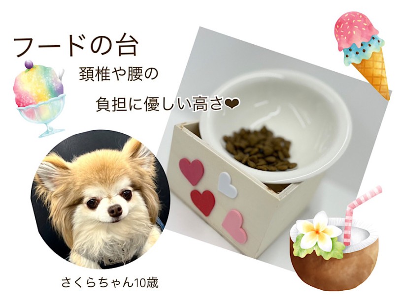 頚椎や腰の負担に優しい高さのフードの台 | シニアちゃんに簡単アイテム作っちゃおう！ - 横浜 港北ニュータウン店