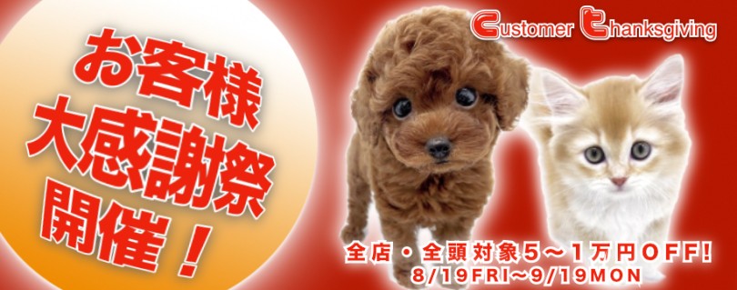 【 お客様大感謝祭開催 】マルワンからBIGなプレゼント企画スタート！