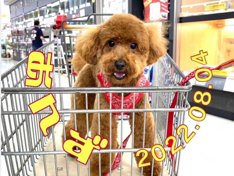 ★あんず★久しぶりに会えたね！嬉しい♪ | 365プロジェクト - 横浜 大倉山店