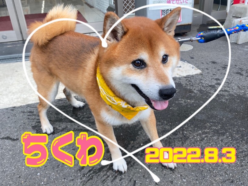 ★ちくわ★プール入ってみる？！ | 365プロジェクト - 横浜 大倉山店