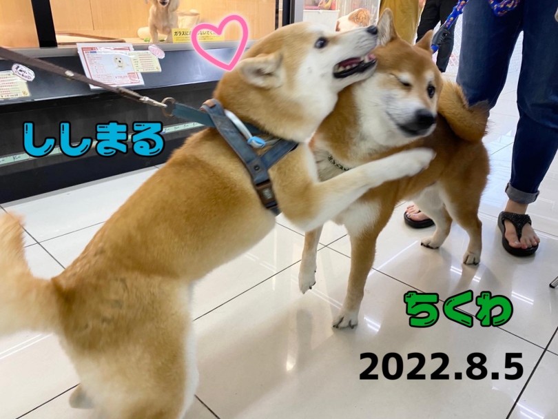 ★ししまる♡ちくわ★可愛い男子会♡ | 365プロジェクト - 横浜 大倉山店