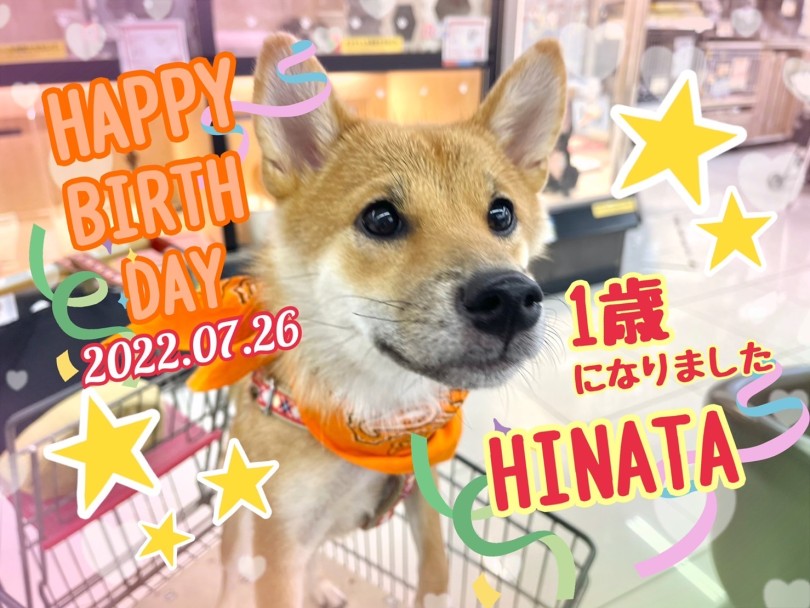 ひなたちゃん1歳のお誕生日おめでとう♪ | 大倉山365チャレンジ  7月結果発表！ - 横浜 大倉山店