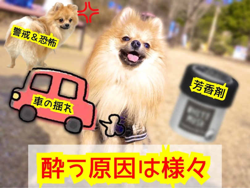 何で車酔いをするの？原因はこれ！ | 車酔いを克服して夏休みにドライブを楽しんじゃおう！ - 東川口店