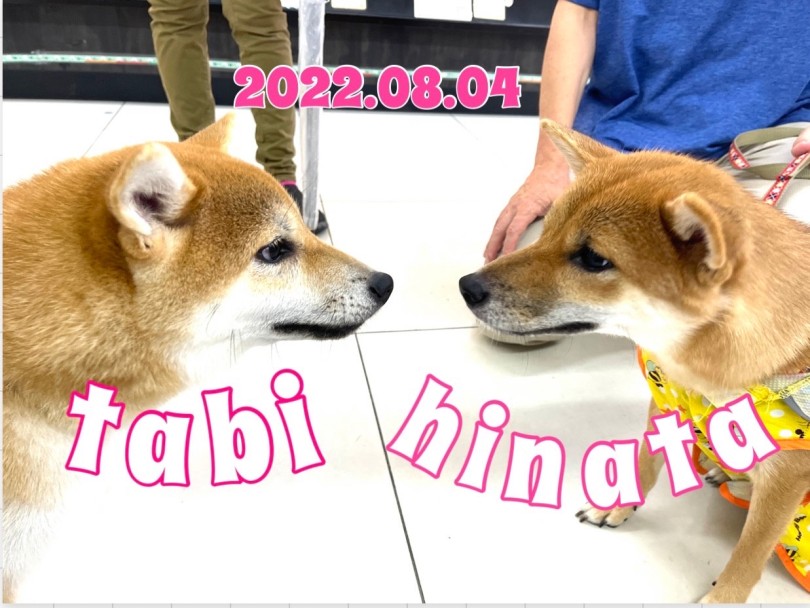 ★たび♡ひなた★とっても可愛い女子会♡ | 365プロジェクト - 横浜 大倉山店