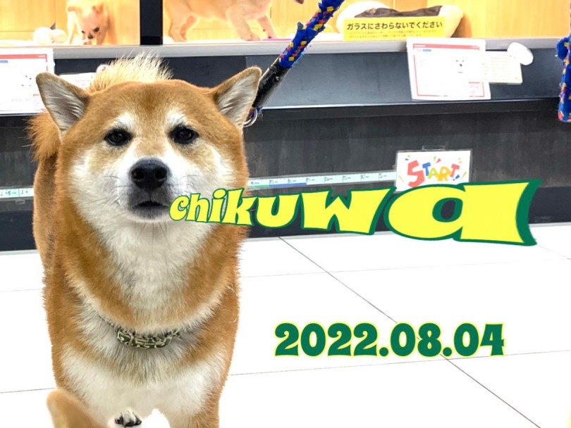 ★ちくわ★今日はクールな日だった♡ | 365プロジェクト - 横浜 大倉山店
