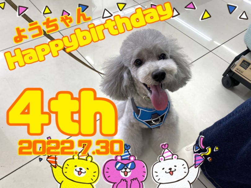 トイプードルの洋ちゃん | 大倉山365チャレンジ  7月結果発表！ - 横浜 大倉山店