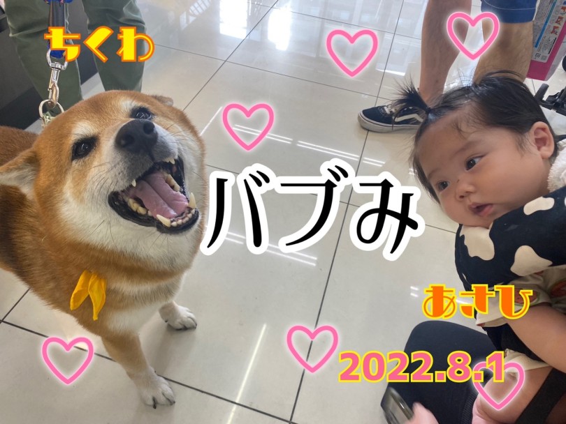 ★ちくわ★にゃはっ♡ | 365プロジェクト - 横浜 大倉山店