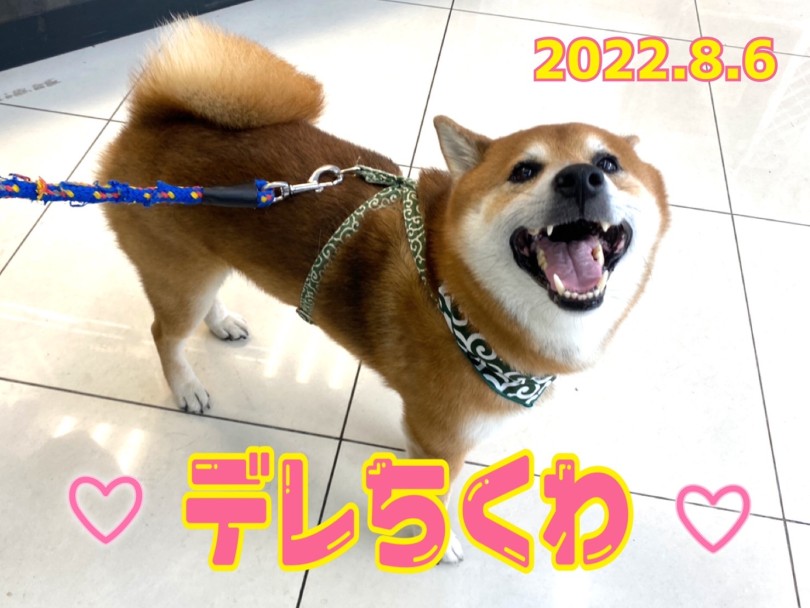 ★ちくわ★デレデレの日だよ〜♡ | 365プロジェクト - 横浜 大倉山店