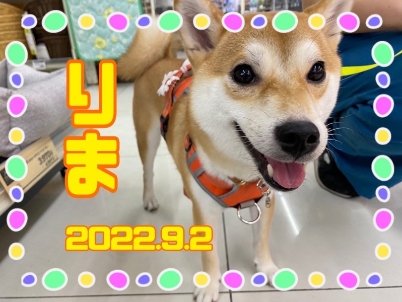 ★りま★ | 365プロジェクトデイリー【9月版】 - 横浜 大倉山店