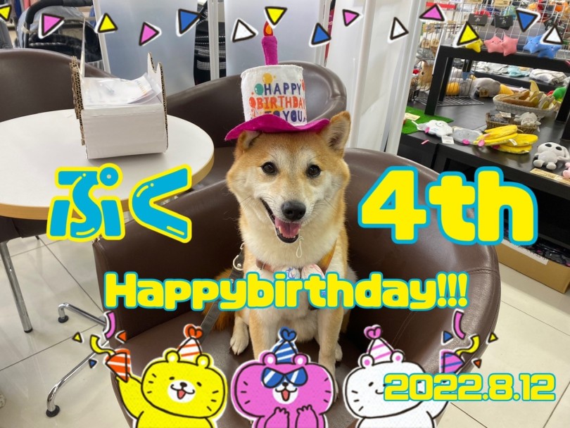 8月12日ぷく4歳のお誕生日おめでとう！ | 大倉山365チャレンジ 8月結果発表 - 横浜 大倉山店