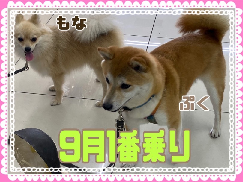 ★ぷく♡もな★ | 365プロジェクトデイリー【9月版】 - 横浜 大倉山店