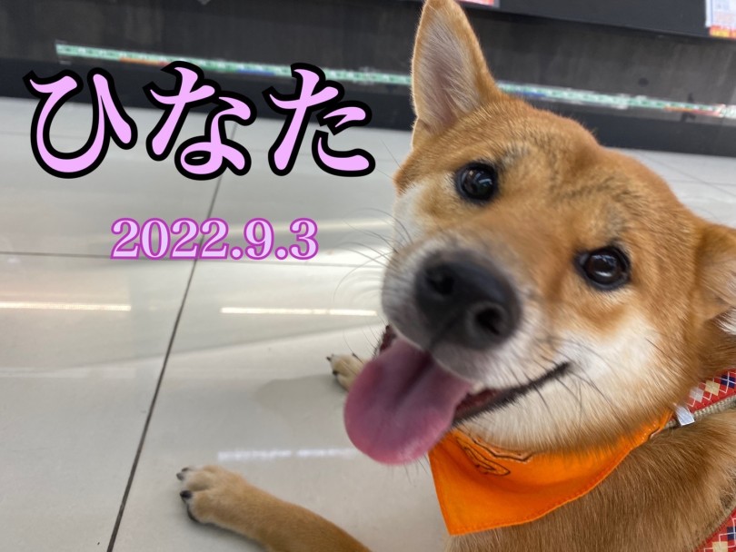 ★ひなた★ | 365プロジェクトデイリー【9月版】 - 横浜 大倉山店