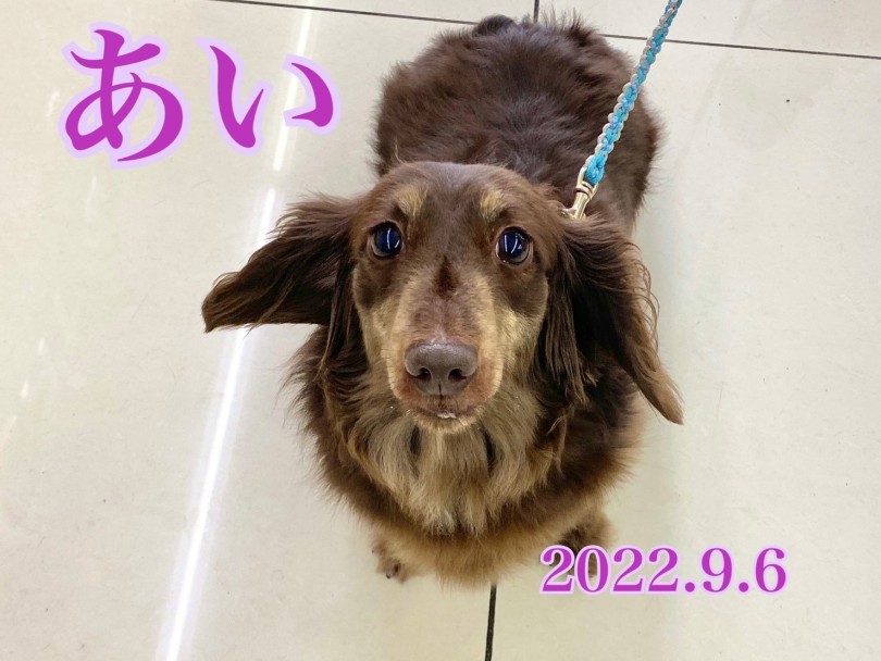 ★あい★ | 365プロジェクトデイリー【9月版】 - 横浜 大倉山店