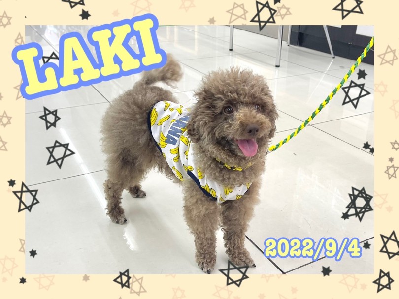 ★LAKI★ | 365プロジェクトデイリー【9月版】 - 横浜 大倉山店