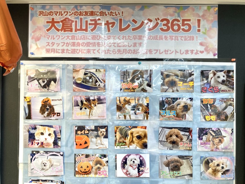 大倉山チャレンジ365 | 毎日来ても楽しい店鋪 - 横浜 大倉山店