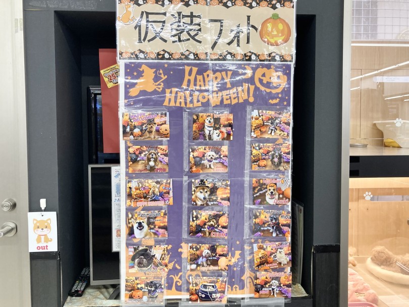 ハロウィン系のお楽しみ 写真も掲示してくれるらしい。。。 | 毎日来ても楽しい店鋪 - 横浜 大倉山店