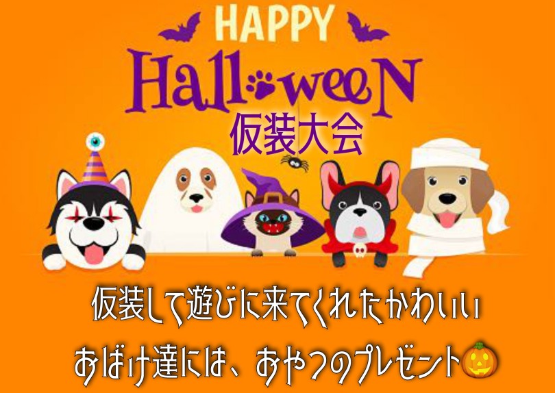 【 ハロウィンイベント 】可愛いおばけになって集合しよう！！