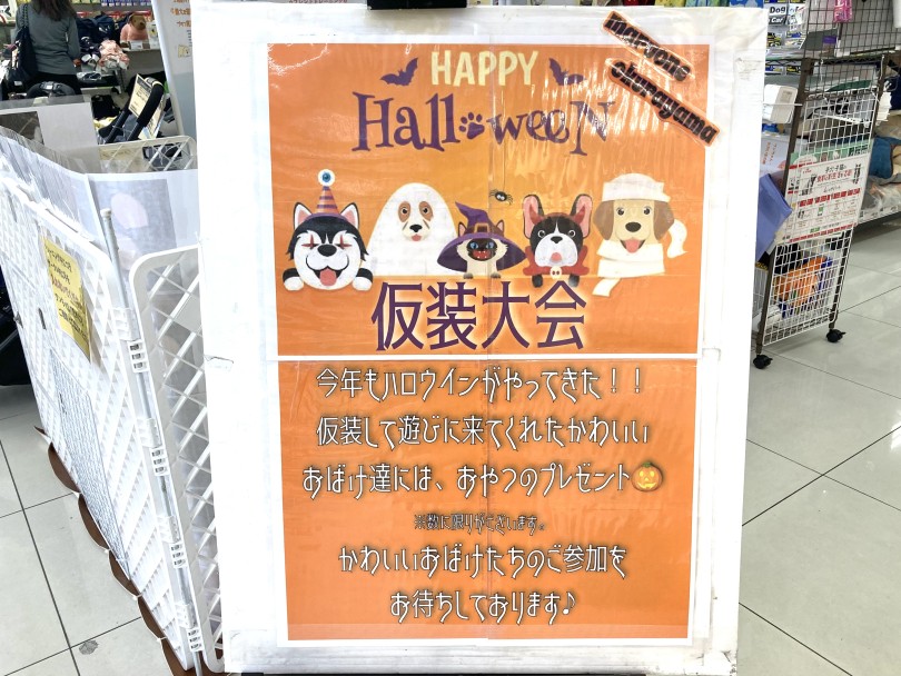 ハロウィン系のお楽しみ わんにゃんが仮装して遊びに来てくれたらおやつのプレゼントがあるらしい。。。 | 毎日来ても楽しい店鋪 - 横浜 大倉山店