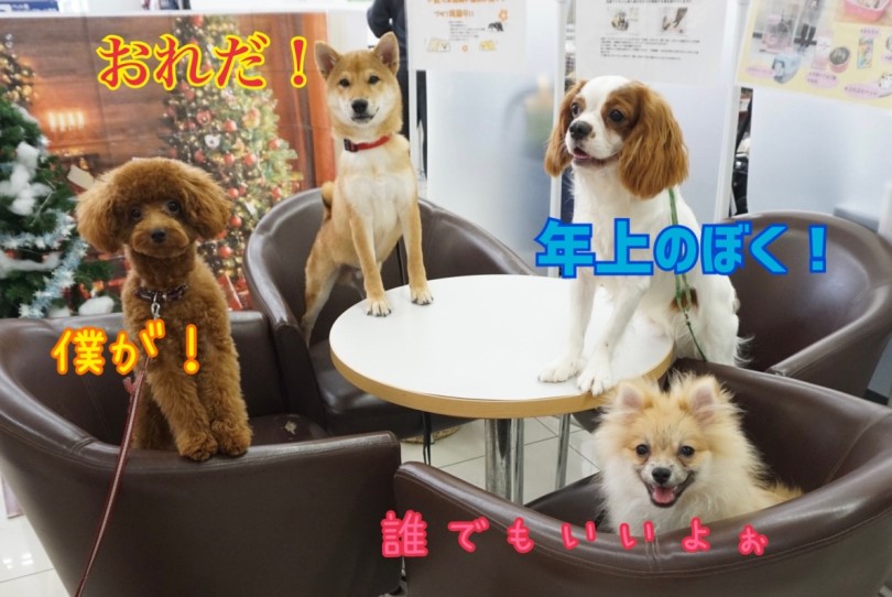 ぽぽちゃんは誰でもいいのね(笑) | だれがリーダーになる？のミーティング！ - 横浜 大倉山店
