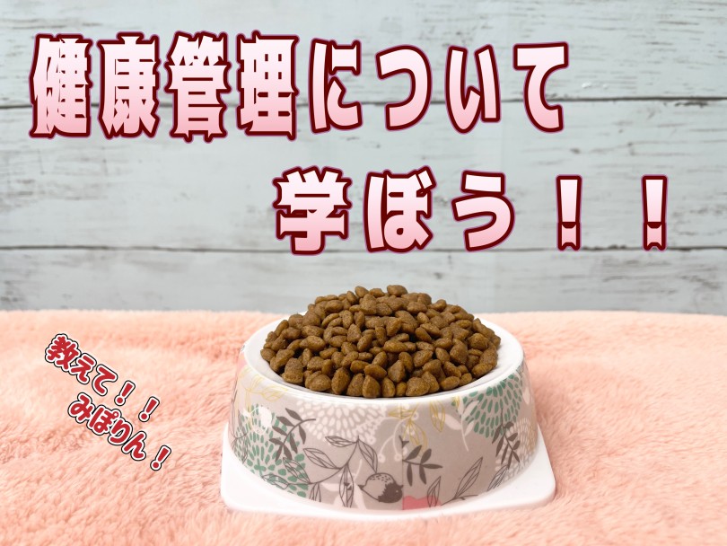 【 愛犬＆愛猫の健康管理 】必須栄養素やチェック項目大公開！（付録付き）