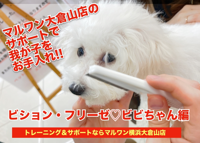 【 大倉山店のサポート 】初めてでも安心！我が子をもっと可愛くお手入れ！