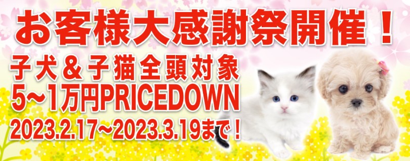 【 お客様大感謝祭 】マルワンのペットライフお手伝い企画スタート！