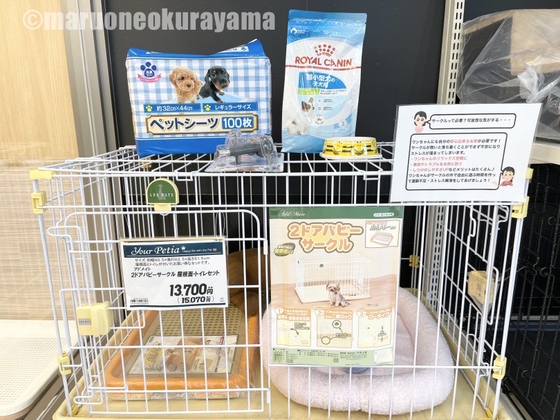 お迎えに必要アイテム | ジャックラッセルテリア （06-31） - 横浜 大倉山店