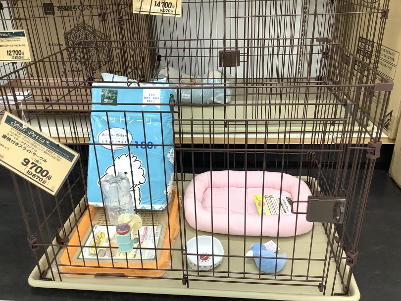 ポメちゃんを迎える上で必要なもの | ポメラニアン (07-19) - 横浜 鶴見店