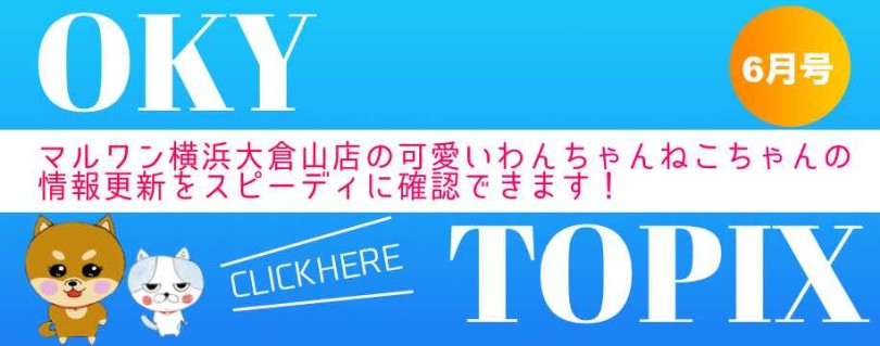 【 OKURAYAMA トピックス6月版 】マルワン大倉山店の6月の情報配信を確認！