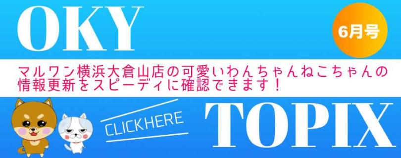 【 OKURAYAMA トピックス6月版 】マルワン大倉山店の6月の情報配信を確認!